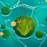 Froschjagd Abenteuer